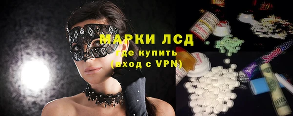 сатива Аркадак