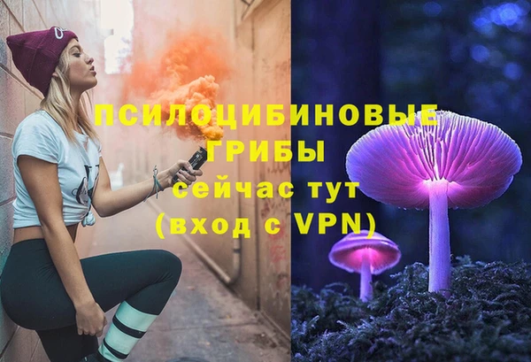 сатива Аркадак