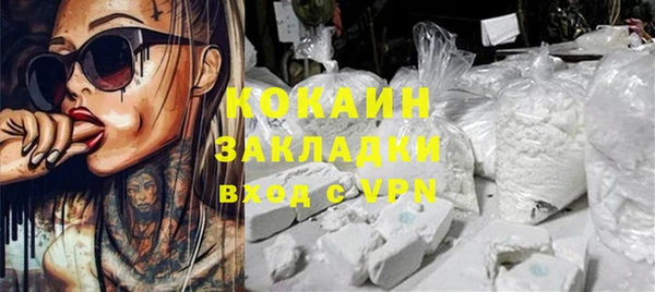 сатива Аркадак