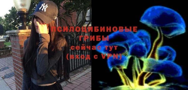 a pvp Армянск