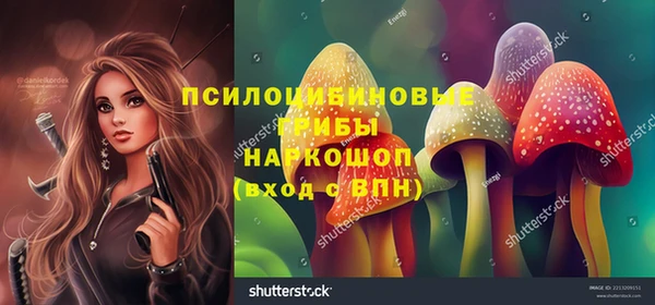 a pvp Армянск