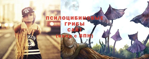 a pvp Армянск